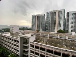 Blk 692A Choa Chu Kang Crescent (Choa Chu Kang), HDB 4 Rooms #462694091